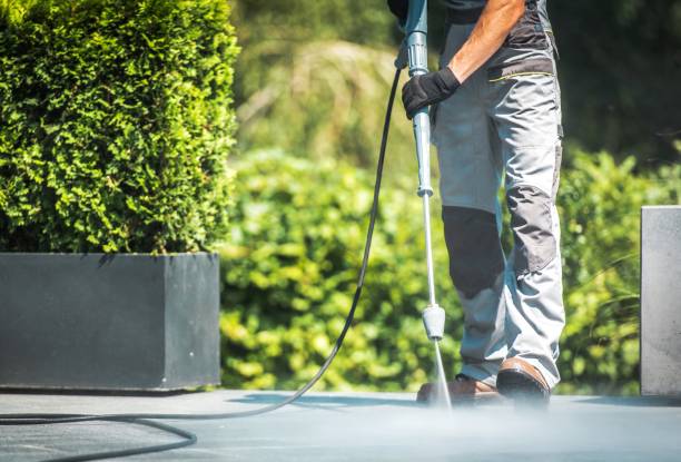 Best Fence Cleaning  in Ringgold, LA